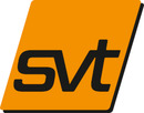 Logo svt Brandschutz GmbH in Eppertshausen