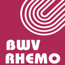 Logo BWV RHEMO Steuerberatung GmbH in Trier